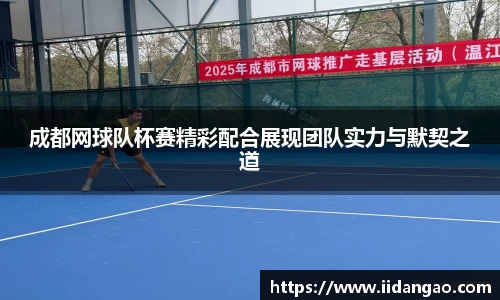3377体育