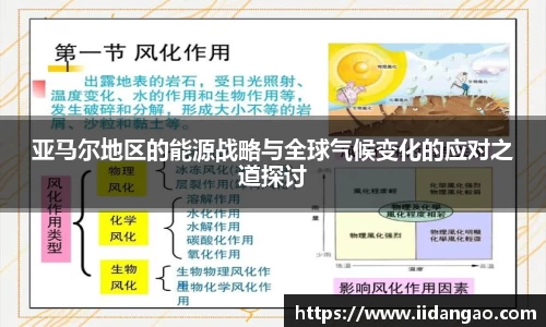 3377体育官网